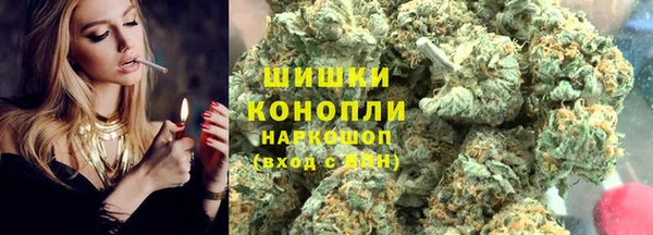 тгк Богданович