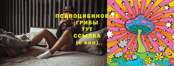 метадон Богородицк