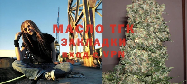 тгк Богданович